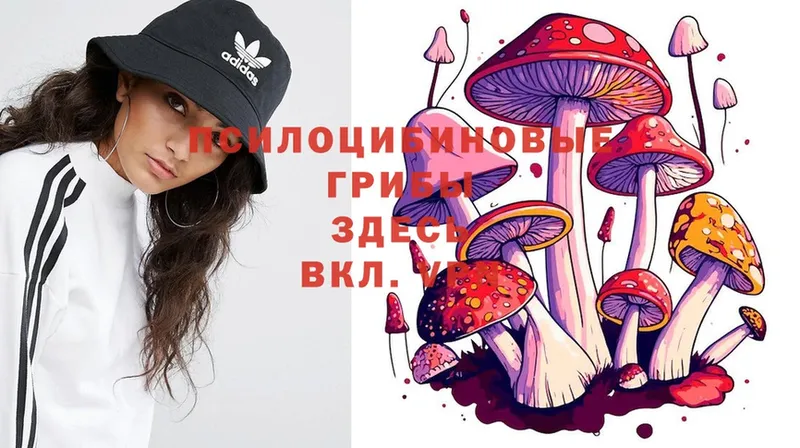 Псилоцибиновые грибы MAGIC MUSHROOMS  дарнет шоп  Георгиевск 